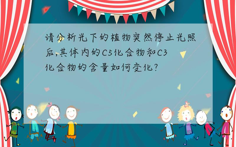 请分析光下的植物突然停止光照后,其体内的C5化合物和C3化合物的含量如何变化?