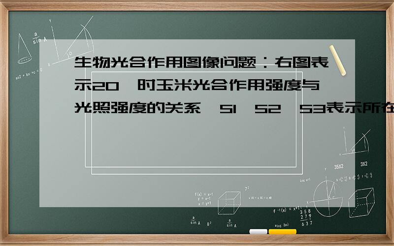 生物光合作用图像问题：右图表示20℃时玉米光合作用强度与光照强度的关系,S1、S2、S3表示所在部位的面积,下列说法中不正确的是：A．S1+S3表示玉米呼吸作用消耗的有机物量B．S2+S3表示玉米