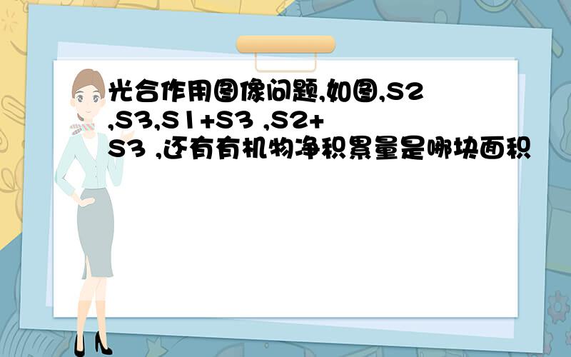 光合作用图像问题,如图,S2,S3,S1+S3 ,S2+S3 ,还有有机物净积累量是哪块面积