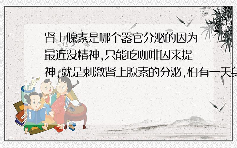 肾上腺素是哪个器官分泌的因为最近没精神,只能吃咖啡因来提神,就是刺激肾上腺素的分泌,怕有一天身体会出现状况,现在想补补