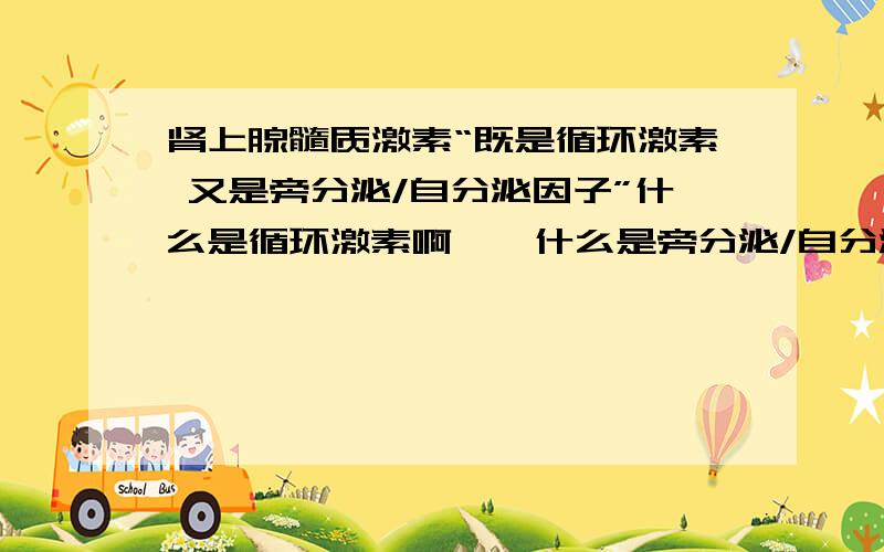 肾上腺髓质激素“既是循环激素 又是旁分泌/自分泌因子”什么是循环激素啊……什么是旁分泌/自分泌因子啊……谢……