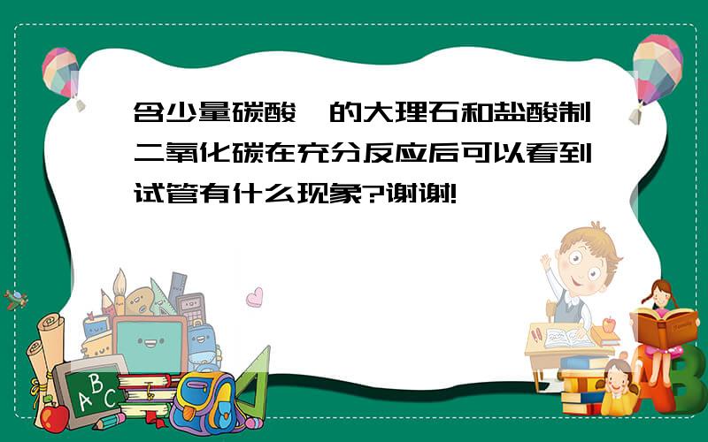 含少量碳酸镁的大理石和盐酸制二氧化碳在充分反应后可以看到试管有什么现象?谢谢!