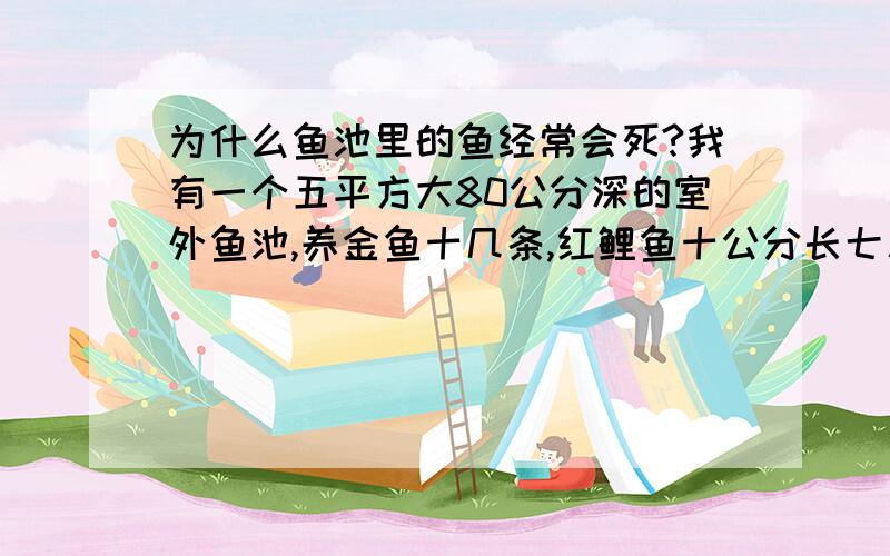 为什么鱼池里的鱼经常会死?我有一个五平方大80公分深的室外鱼池,养金鱼十几条,红鲤鱼十公分长七八条,鲫鱼五六条,配有增氧设备.但死的为什么都是鲫鱼.其它鱼正常.