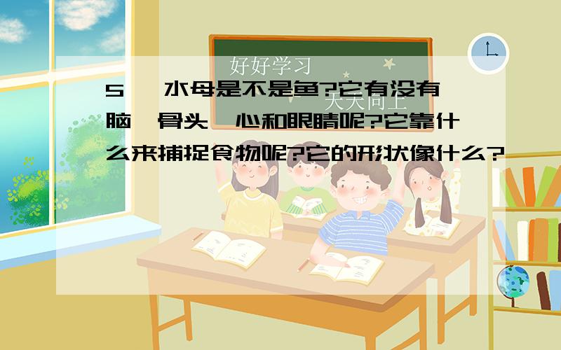 5、 水母是不是鱼?它有没有脑、骨头、心和眼睛呢?它靠什么来捕捉食物呢?它的形状像什么?