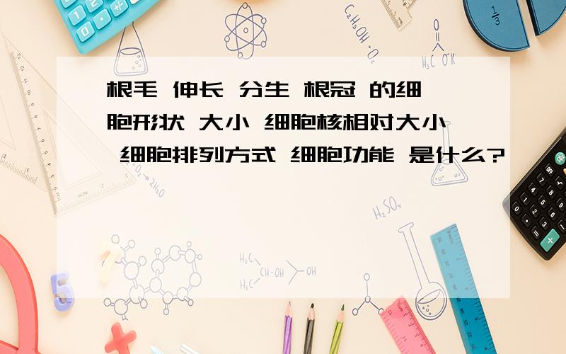 根毛 伸长 分生 根冠 的细胞形状 大小 细胞核相对大小 细胞排列方式 细胞功能 是什么?