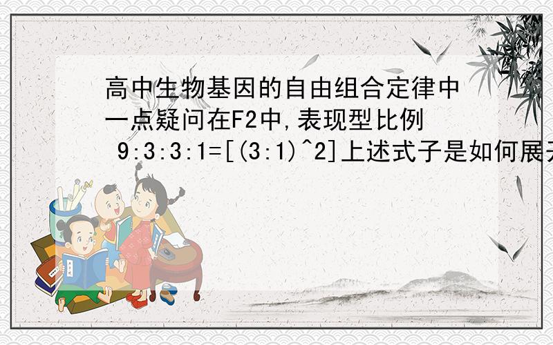 高中生物基因的自由组合定律中一点疑问在F2中,表现型比例 9:3:3:1=[(3:1)^2]上述式子是如何展开的?