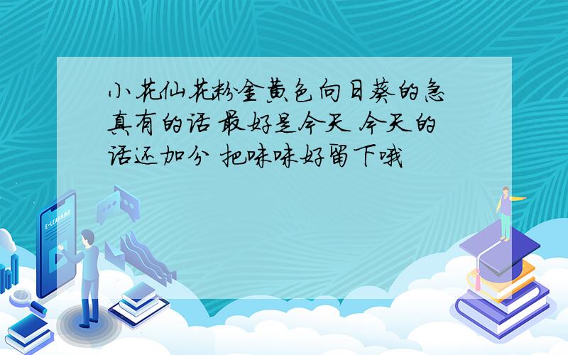 小花仙花粉金黄色向日葵的急 真有的话 最好是今天 今天的话还加分 把咪咪好留下哦