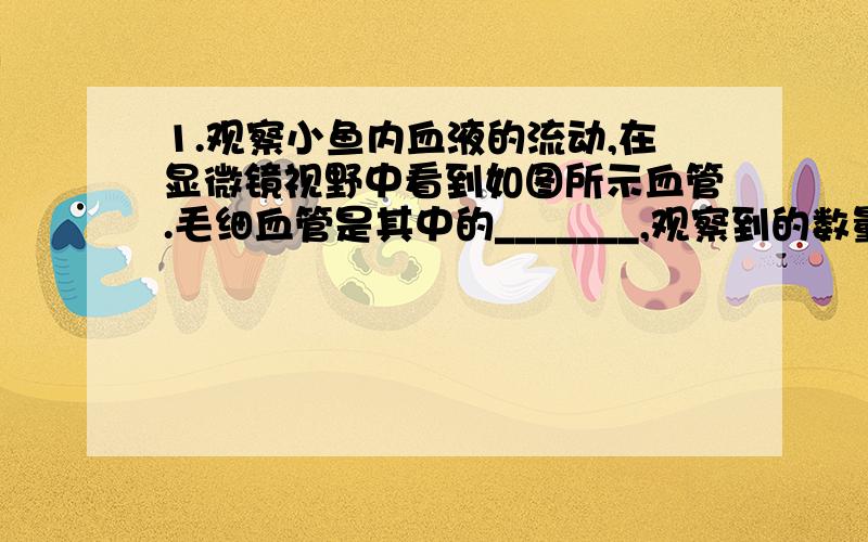 1.观察小鱼内血液的流动,在显微镜视野中看到如图所示血管.毛细血管是其中的_______,观察到的数量最多的血细胞是________.2.某血管纵剖面图,箭头示血流方向.（1）该血管是血管_______,依据是___