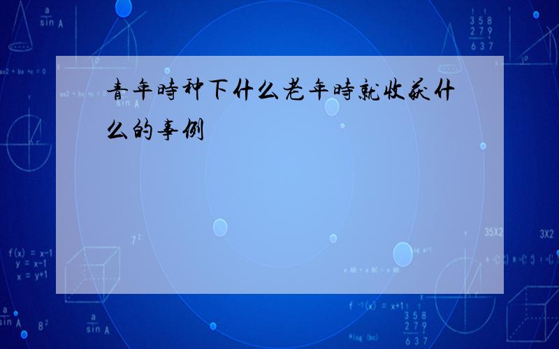 青年时种下什么老年时就收获什么的事例