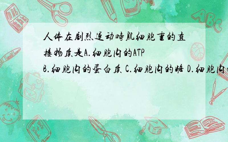 人体在剧烈运动时肌细胞重的直接物质是A.细胞内的ATP B.细胞内的蛋白质 C.细胞内的糖 D.细胞内的脂肪