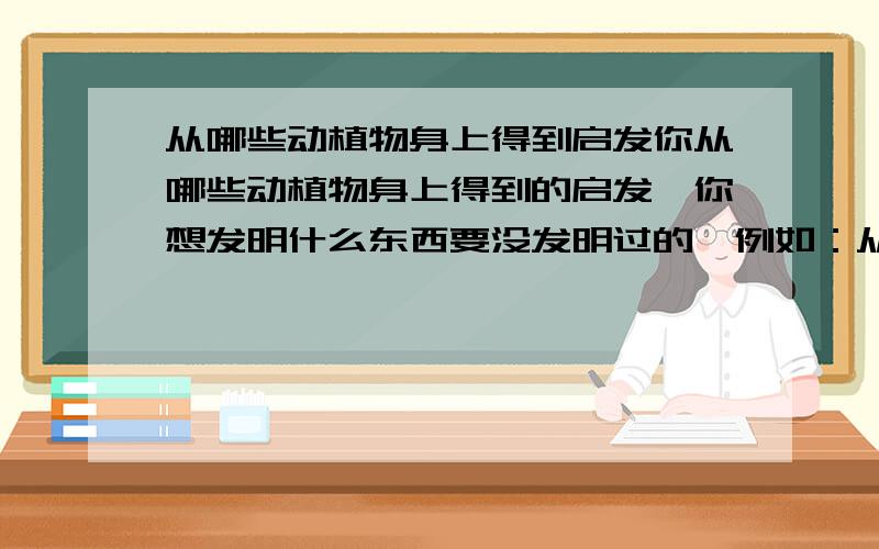 从哪些动植物身上得到启发你从哪些动植物身上得到的启发,你想发明什么东西要没发明过的,例如：从变色龙身上得到启发发明变色灯,从蜻蜓发明一种可观察四周情况的眼镜专用于侦察.要是