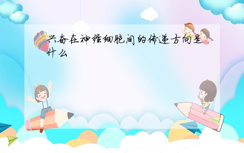 兴奋在神经细胞间的传递方向是什么