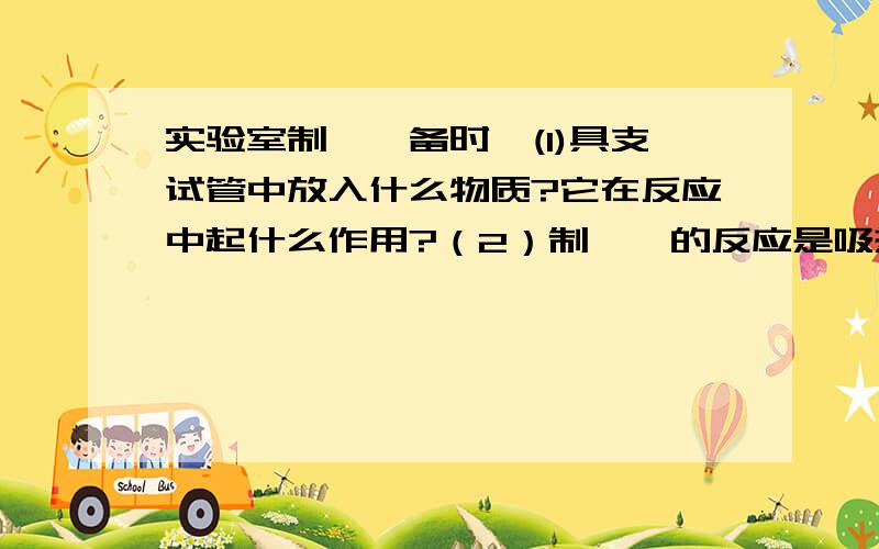 实验室制溴苯备时,(1)具支试管中放入什么物质?它在反应中起什么作用?（2）制溴苯的反应是吸热反应还是放热反应?从哪些实验现象可以说明?（3）苯与液溴的混合液放在什么仪器中?双球吸