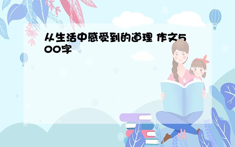 从生活中感受到的道理 作文500字