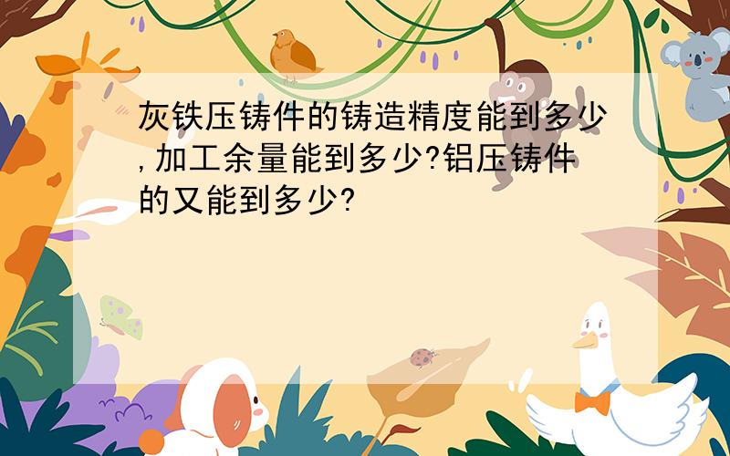 灰铁压铸件的铸造精度能到多少,加工余量能到多少?铝压铸件的又能到多少?