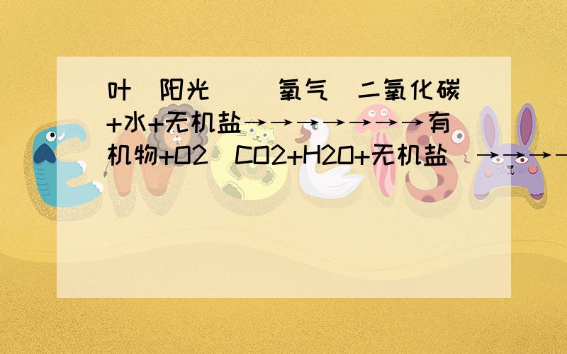 叶（阳光） （氧气）二氧化碳+水+无机盐→→→→→→→有机物+O2（CO2+H2O+无机盐）→→→→→→→（淀粉、糖、脂肪、酸、蛋白质等）叶绿素 植物根、叶具有向光性.叶绿体 植物的根具有