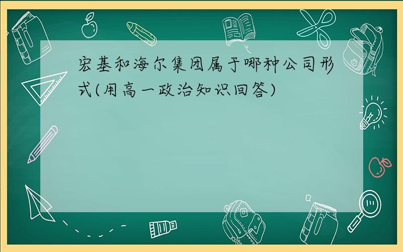 宏基和海尔集团属于哪种公司形式(用高一政治知识回答)