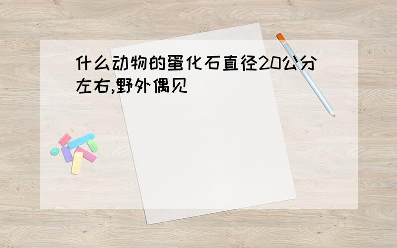 什么动物的蛋化石直径20公分左右,野外偶见