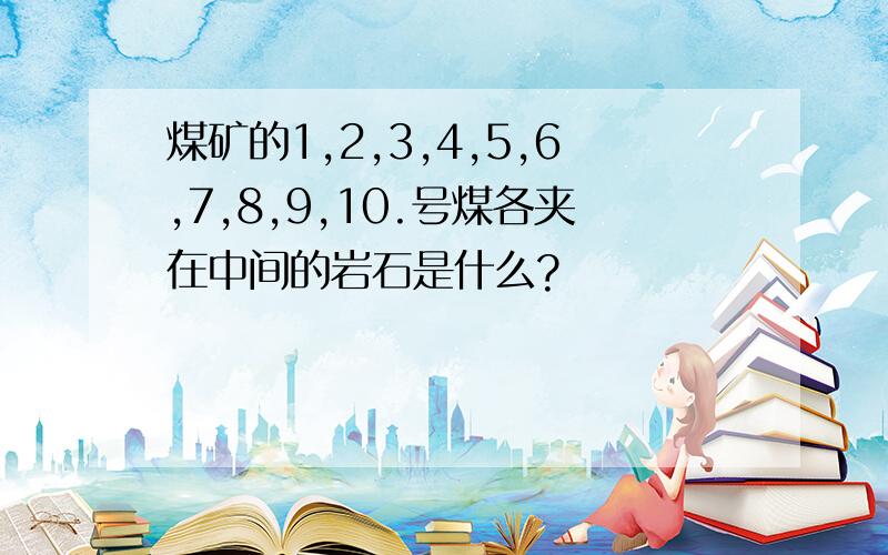 煤矿的1,2,3,4,5,6,7,8,9,10.号煤各夹在中间的岩石是什么?