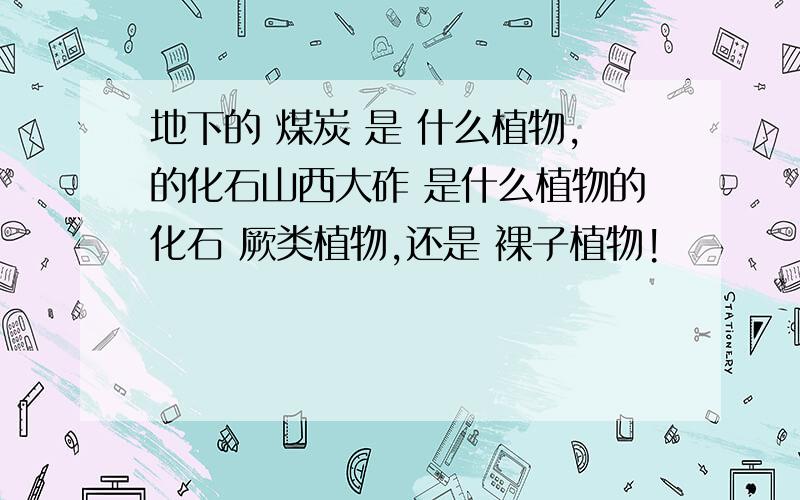 地下的 煤炭 是 什么植物,的化石山西大砟 是什么植物的化石 厥类植物,还是 裸子植物!