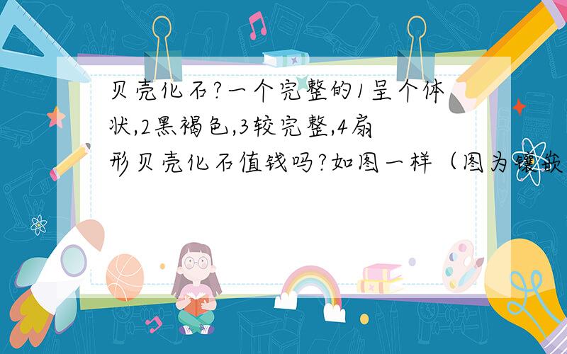 贝壳化石?一个完整的1呈个体状,2黑褐色,3较完整,4扇形贝壳化石值钱吗?如图一样（图为镶嵌在石头里的平面状,我的是完整的个体状）