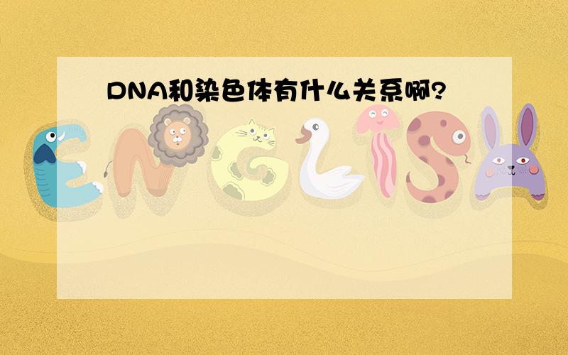 DNA和染色体有什么关系啊?