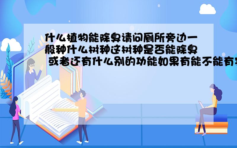 什么植物能除臭请问厕所旁边一般种什么树种这树种是否能除臭 或者还有什么别的功能如果有能不能有实验证明它的这些功能?问题问的比较偏 实验也不是很好操作功能的话比如说道路旁树