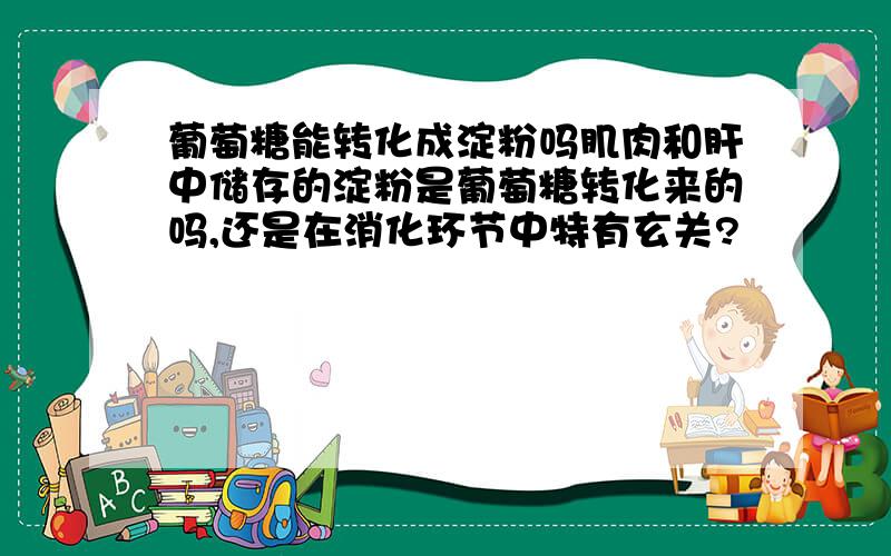 葡萄糖能转化成淀粉吗肌肉和肝中储存的淀粉是葡萄糖转化来的吗,还是在消化环节中特有玄关?