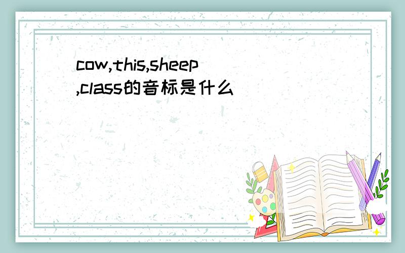 cow,this,sheep,class的音标是什么