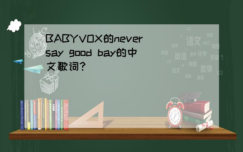 BABYVOX的never say good bay的中文歌词?