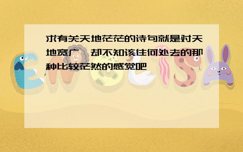 求有关天地茫茫的诗句就是对天地宽广,却不知该往何处去的那种比较茫然的感觉吧