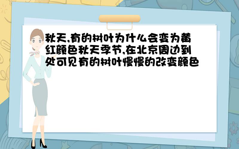 秋天,有的树叶为什么会变为黄红颜色秋天季节,在北京周边到处可见有的树叶慢慢的改变颜色