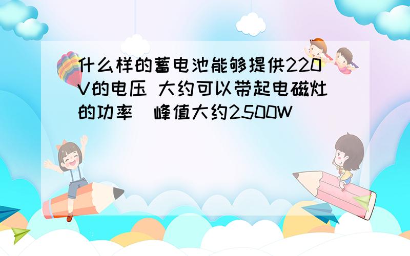 什么样的蓄电池能够提供220V的电压 大约可以带起电磁灶的功率（峰值大约2500W）