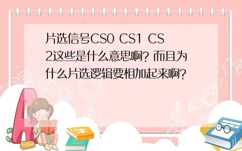 片选信号CS0 CS1 CS2这些是什么意思啊? 而且为什么片选逻辑要相加起来啊?