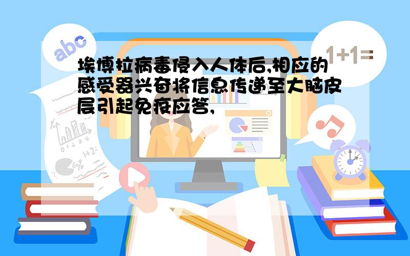 埃博拉病毒侵入人体后,相应的感受器兴奋将信息传递至大脑皮层引起免疫应答,