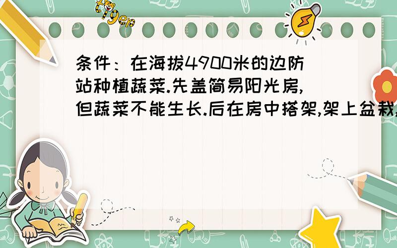 条件：在海拔4900米的边防站种植蔬菜.先盖简易阳光房,但蔬菜不能生长.后在房中搭架,架上盆栽,蔬菜生长.问：1、盖简易阳光房改造的自然条件是（ ）A、热量 B、水分 C、土壤 D、光照2、在