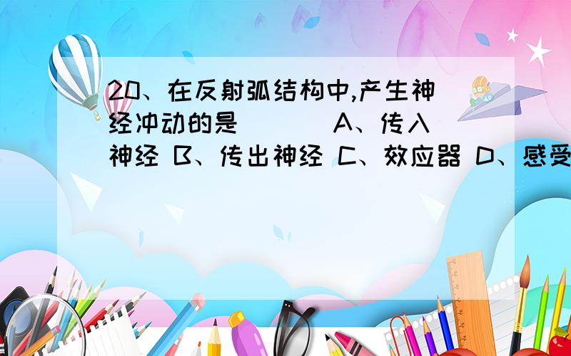 20、在反射弧结构中,产生神经冲动的是 （ ） A、传入神经 B、传出神经 C、效应器 D、感受器