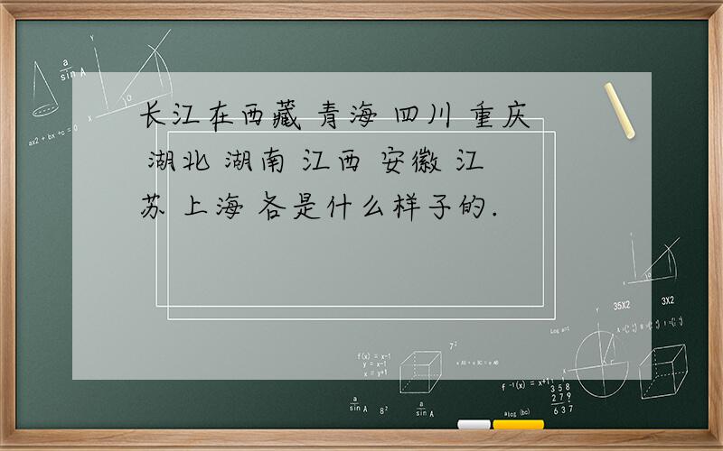 长江在西藏 青海 四川 重庆 湖北 湖南 江西 安徽 江苏 上海 各是什么样子的.