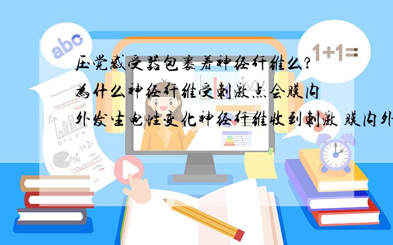 压觉感受器包裹着神经纤维么?为什么神经纤维受刺激点会膜内外发生电性变化神经纤维收到刺激 膜内外电性变化 需要经过压觉感受器来指令么