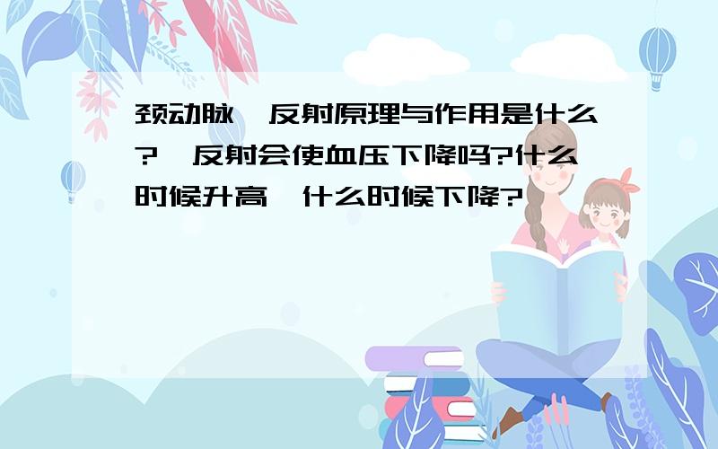 颈动脉窦反射原理与作用是什么?窦反射会使血压下降吗?什么时候升高,什么时候下降?