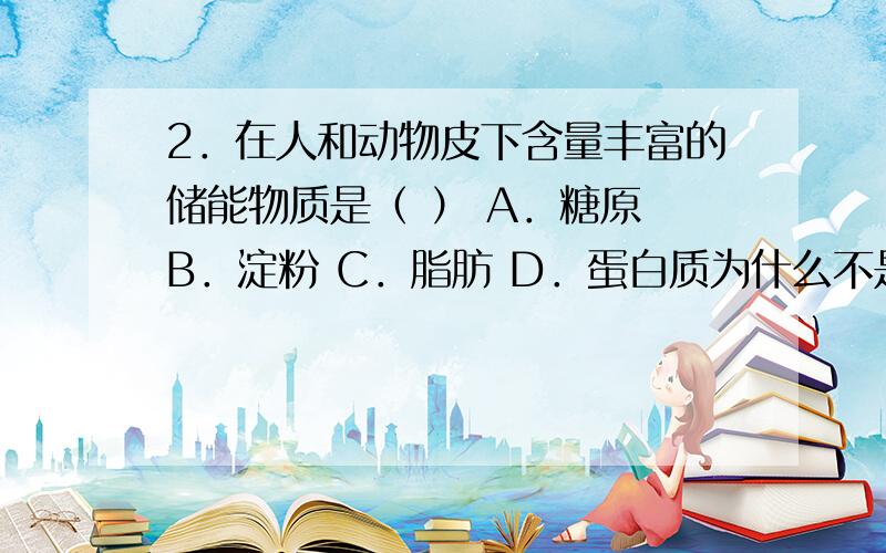 2．在人和动物皮下含量丰富的储能物质是（ ） A．糖原 B．淀粉 C．脂肪 D．蛋白质为什么不是C?