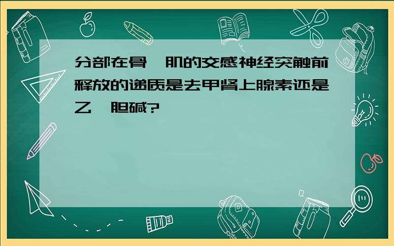 分部在骨骼肌的交感神经突触前释放的递质是去甲肾上腺素还是乙酰胆碱?