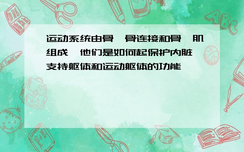 运动系统由骨、骨连接和骨骼肌组成,他们是如何起保护内脏、支持躯体和运动躯体的功能