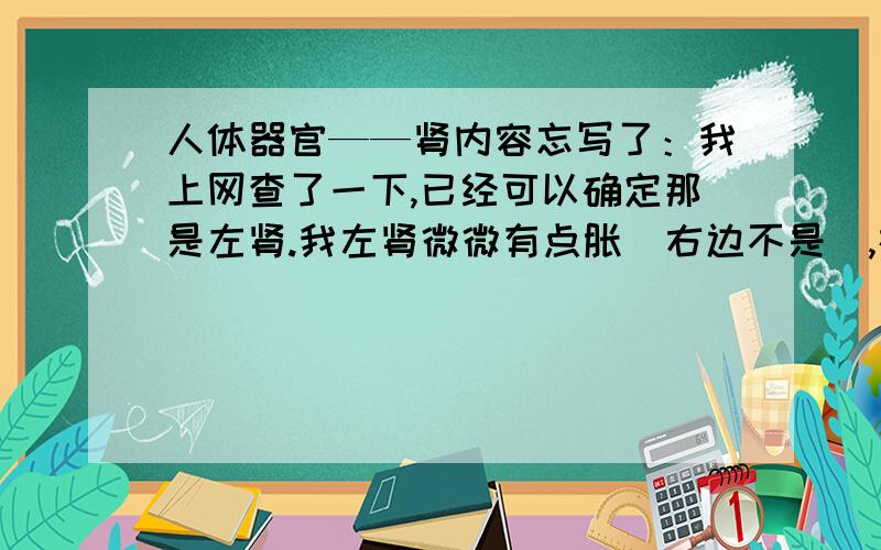 人体器官——肾内容忘写了：我上网查了一下,已经可以确定那是左肾.我左肾微微有点胀（右边不是）,在涨的位置按一下,有一种按到肾的感觉（我试了下,右边没有）,如果压迫的话,会觉得更