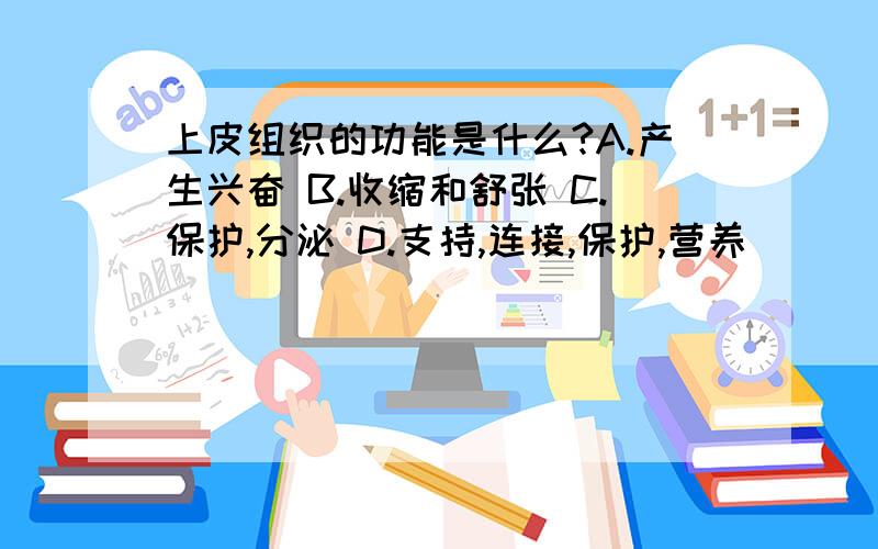 上皮组织的功能是什么?A.产生兴奋 B.收缩和舒张 C.保护,分泌 D.支持,连接,保护,营养