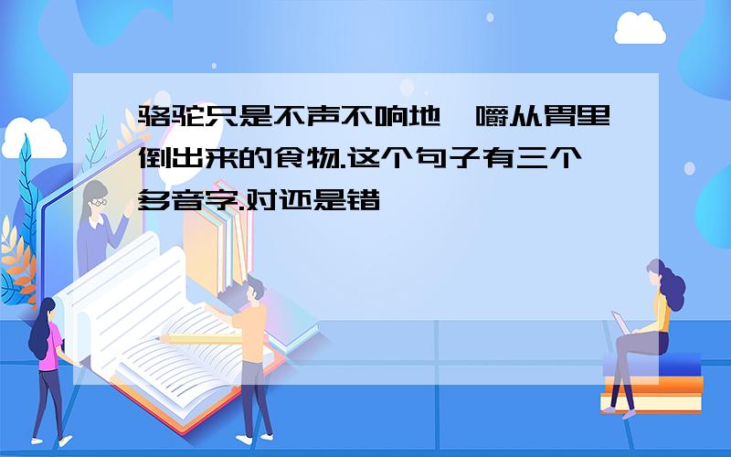 骆驼只是不声不响地咀嚼从胃里倒出来的食物.这个句子有三个多音字.对还是错