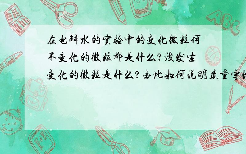 在电解水的实验中的变化微粒何不变化的微粒都是什么?没发生变化的微粒是什么?由此如何说明质量守恒定律?