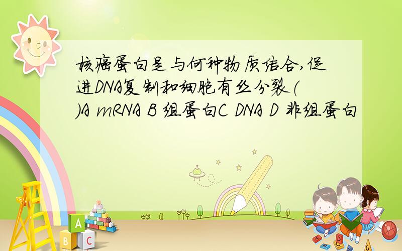 核癌蛋白是与何种物质结合,促进DNA复制和细胞有丝分裂（）A mRNA B 组蛋白C DNA D 非组蛋白