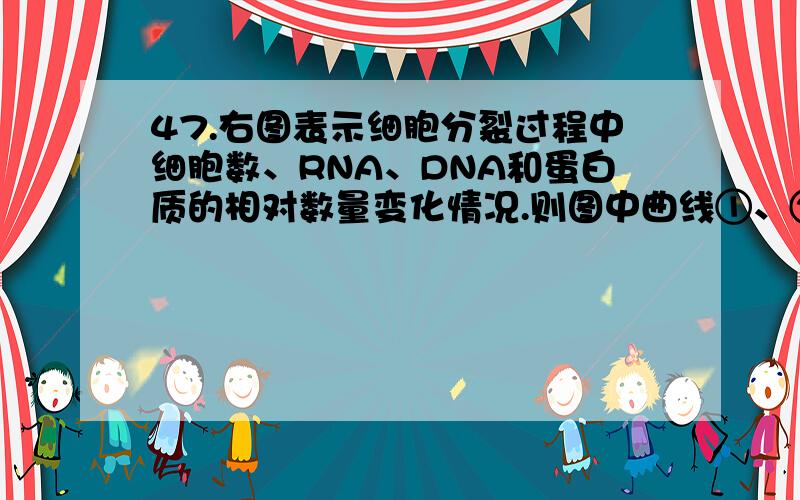 47.右图表示细胞分裂过程中细胞数、RNA、DNA和蛋白质的相对数量变化情况.则图中曲线①、②、③、④分别表示（       ）A．蛋白质、RNA、DNA、细胞数B．蛋白质、细胞数、RNA、DNAC．RNA、蛋白