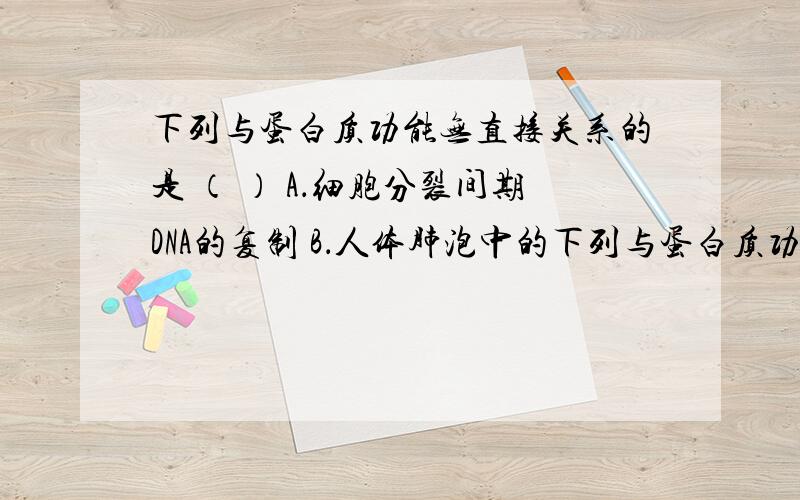 下列与蛋白质功能无直接关系的是 （ ） A．细胞分裂间期DNA的复制 B．人体肺泡中的下列与蛋白质功能无直接关系的是                                            （    ）\x09A．细胞分裂间期DNA的复制